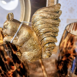 Goudkleurige eekhoorn