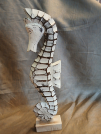 Zeepaardje groot model