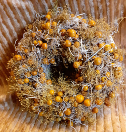 Natuurkrachten Solanum