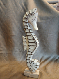 Zeepaardje groot model