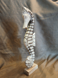 Zeepaardje groot model