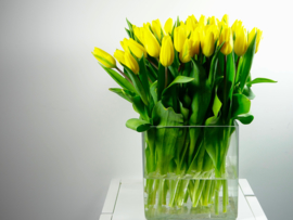 Tulpen boeket