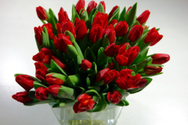 Tulpen boeket