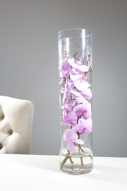 Orchidee in vaas