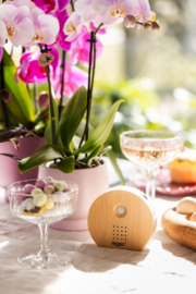 Melodiez Nature Sounds | hout