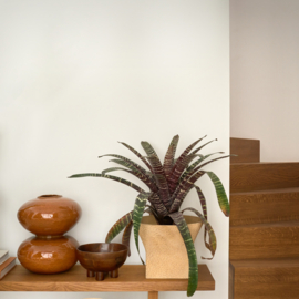 Urban Nature Culture Vase "Foss" | sugar almond