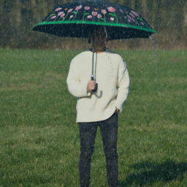 Paraplu Transparant Vogelclub