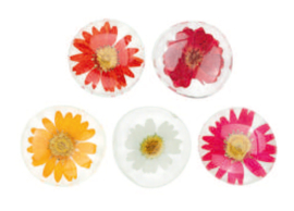 Räder Flower Power Magnets