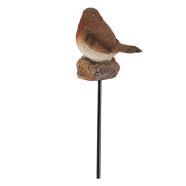 Tuinsteker Roodborstje