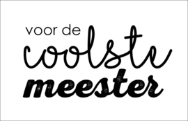 LEUK - mini kaartje - voor de coolste meester