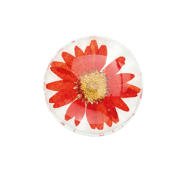 Räder Flower Power Magnets