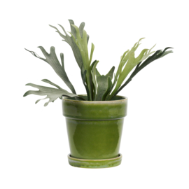 Madam Stoltz Reactive Glazed Ceramic Flowerpot with saucer large | green