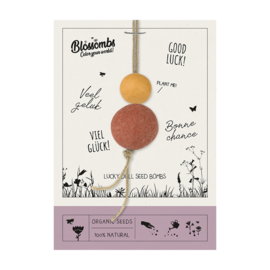 Blossombs Lucky doll "veel geluk"