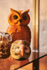 HKliving Ceramic Owl jar | tangerine