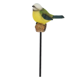 Tuinsteker Pimpelmees