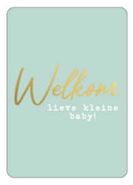 Kassaplan A6 Ansichtkaart "Welkom lieve kleine baby"