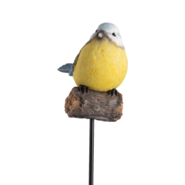 Tuinsteker Pimpelmees