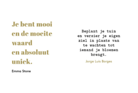 Gift boekje "You are amazing"