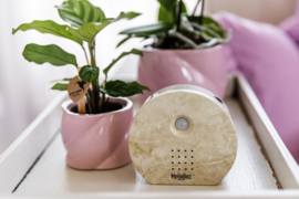 Melodiez Nature Sounds | natuursteen