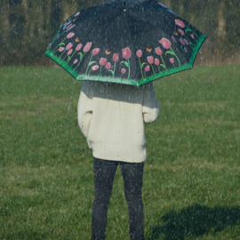 Paraplu Transparant Vogelclub