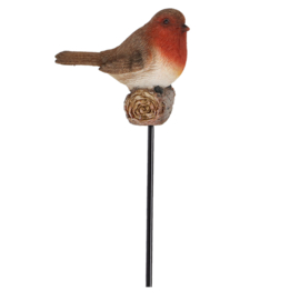 Tuinsteker Roodborstje