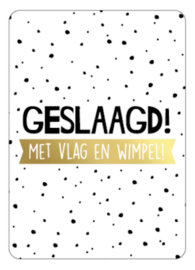 Kassaplan A6 Ansichtkaart "Geslaagd met vlag en wimpel"