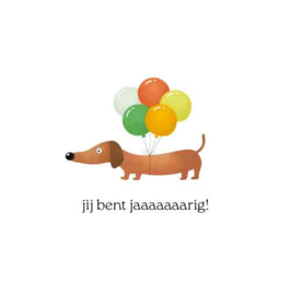 Cosi Wenskaart "jij bent jaaaaaaarig"