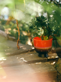 HKliving  Retro flowerpot "Cherry red"