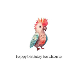 Cosi Wenskaart "happy birthday handsome"