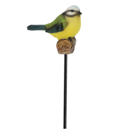 Tuinsteker Pimpelmees