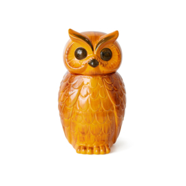 HKliving Ceramic Owl jar | tangerine