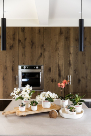 Melodiez Nature Sounds | donkerhout