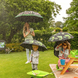 Paraplu Transparant Vogelclub