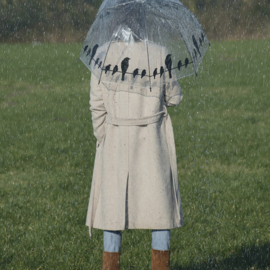 Paraplu transparant | Vogels op draad