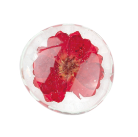 Räder Flower Power Magnets