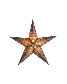 Van Verre Starlightz Star queen | Javabrown