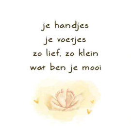Tegeltje met tekst "je handjes je voetjes"