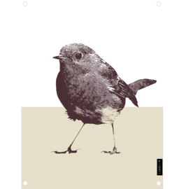 Tuinposter "Roodborstje" | zand
