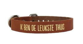 100& Leuk Hondenhalsband "Ik ben de leukste thuis"