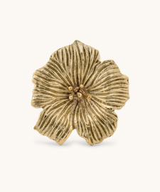 Doing Goods Knob Hibiscus "Hailey"