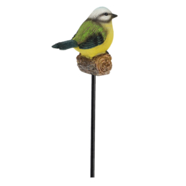 Tuinsteker Pimpelmees