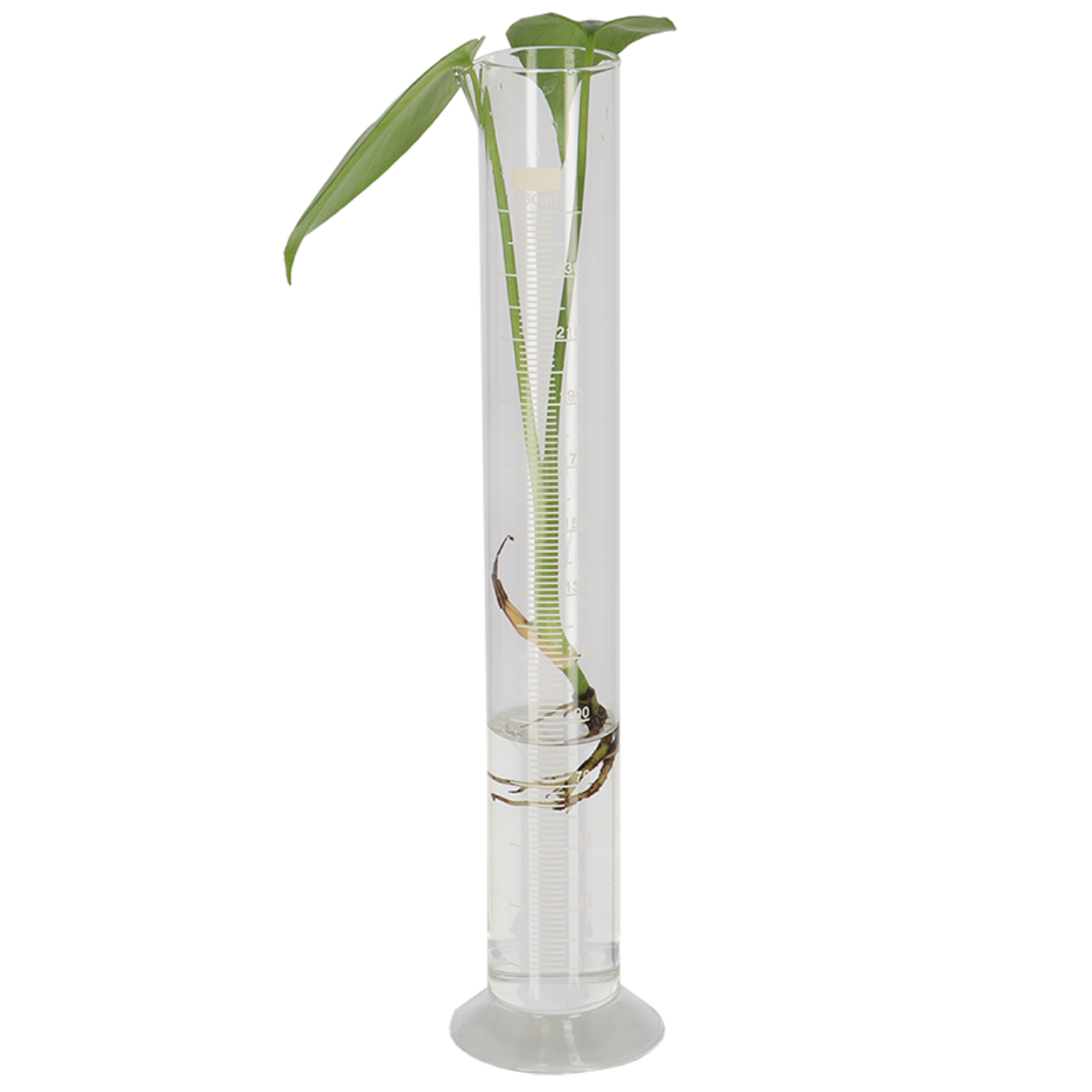 Platbodem Maatcilinder met voet 250 ML