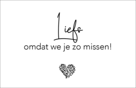 LEUK - mini kaartje - Liefs omdat we je zo missen!