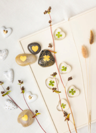 Räder Magneet "Bloem"