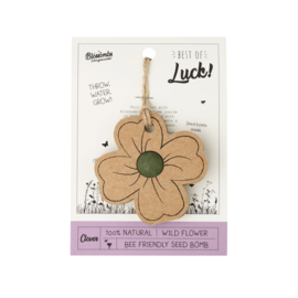 Blossombs Celebratehanger Clover "Best of Luck"
