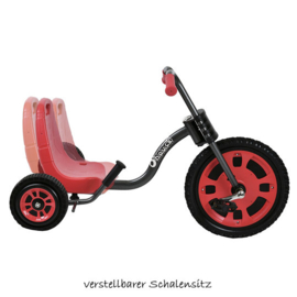 Trike skelter 4-8 jaar