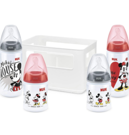 Minnie Disney flessen set 4 delig in kratje