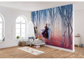 Disney behang Frozen  368x 254 incl lijm