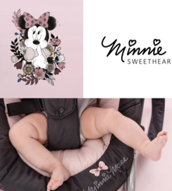 Minnie mouse baby wipstoel
