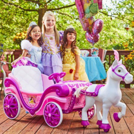 Disney prinsessen koets 6v